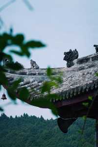 什麼？聽說這個地方…不會吧…
