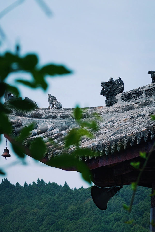 什麼？聽說這個地方…不會吧…
