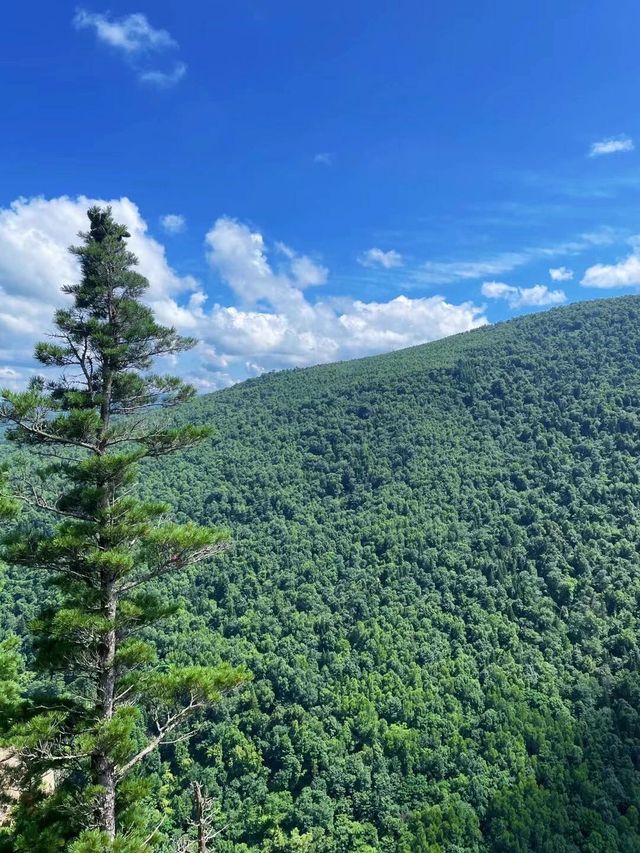 哈爾濱周邊遊|牡丹江鴛鴦峰哈爾濱小阿勒泰