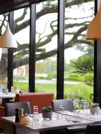 🌟 Clark's Culinary Delight & Cozy Stay 🎲