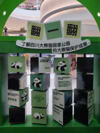 來南京城北萬象匯Rua 一下Panda大熊貓