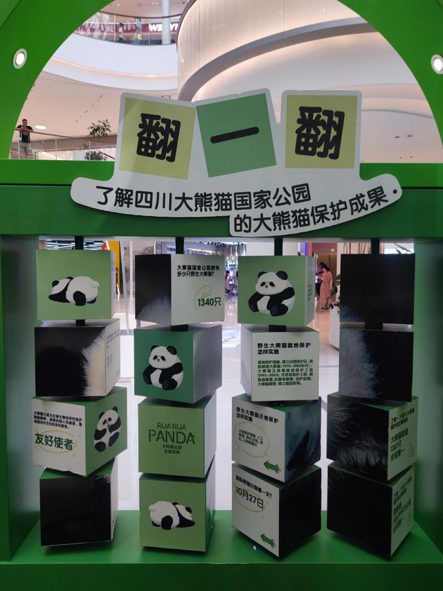 來南京城北萬象匯Rua 一下Panda大熊貓