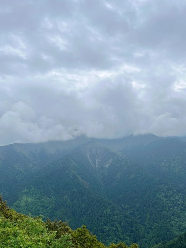 臥龍·雲中牧場 臥龍·雲中牧場