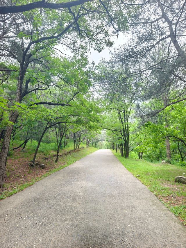 金龍寺國家森林公園（遼寧省大連市）