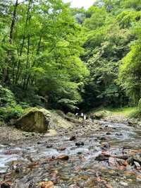 成都周邊2h，看猴子耍水輕徒步好去處