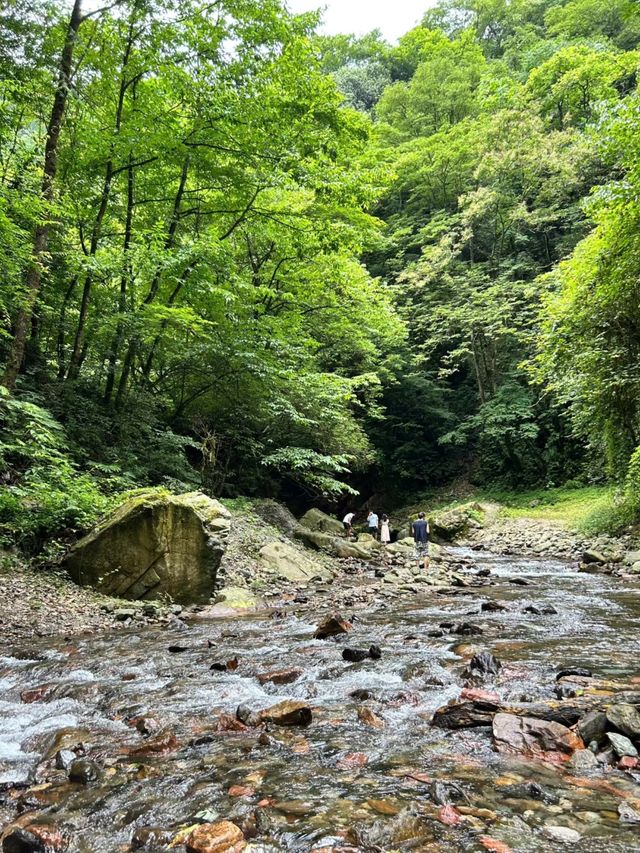 成都周邊2h，看猴子耍水輕徒步好去處