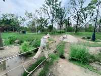 就是我，在38度的高溫裡帶娃去了公園大戶外