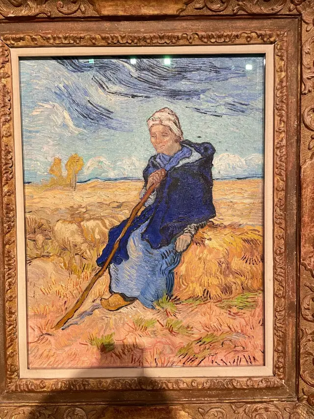 Tel Aviv Museum of Art: Israel's Artistic Treasure