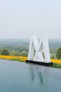 碼住請收好這篇避暑旅行攻略