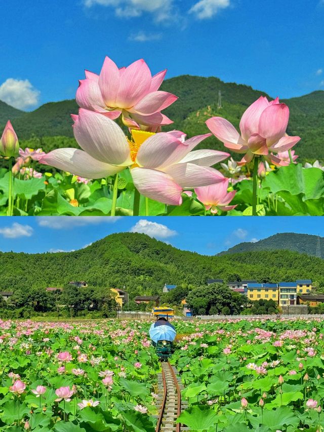 武夷仙境，探秘碧水丹山之旅！你的三天兩夜不後悔攻略