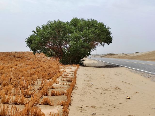 走和阿沙漠公路，穿越塔克拉玛干大沙漠！