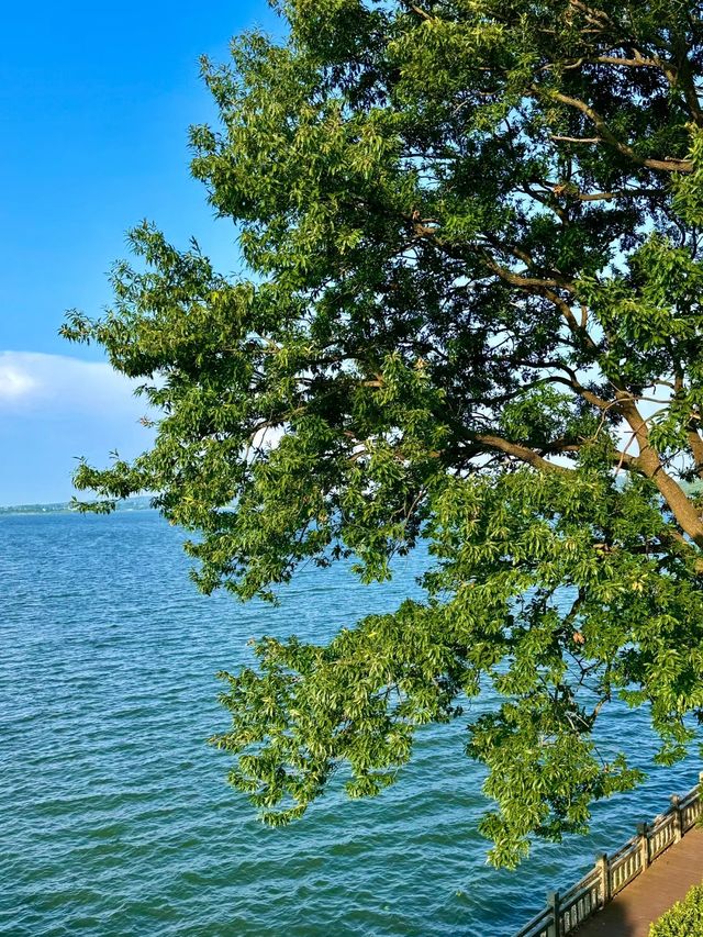 朋友以為我去了濟州島!其實在南京live