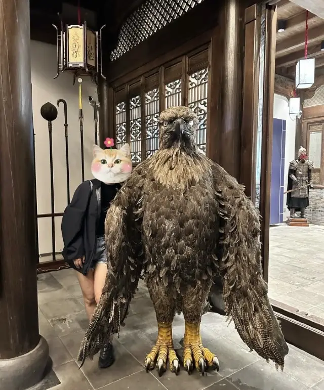 Wu Nü Zhou