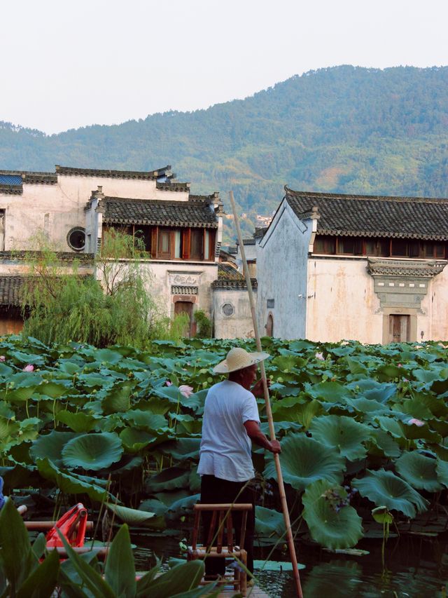 住進徽州中心處!我遇到了李現同款古村落!