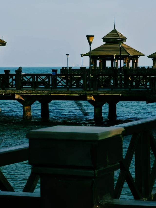 寧靜的閱讀體驗和美麗的海景
