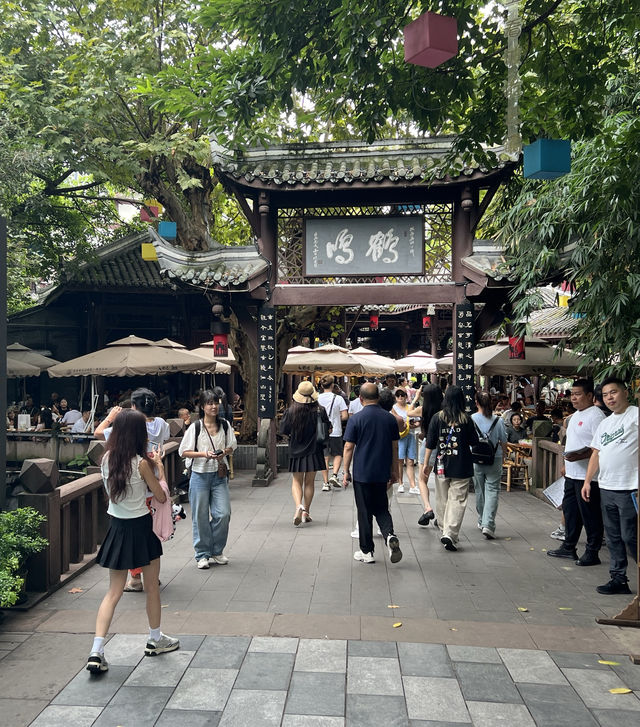 成都的"人民公園"充滿濃厚的市井氣息!