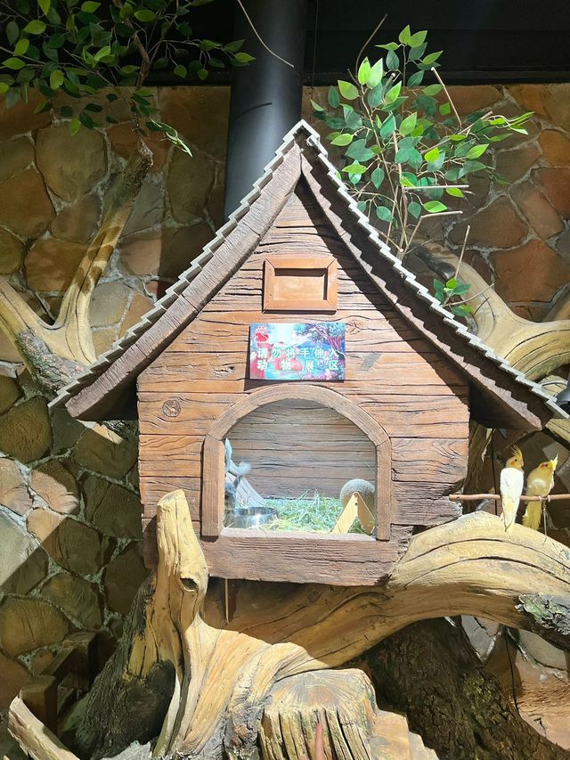 五角場全新開幕 | 隱藏在城市喧嘩中的自然之趣。 五角場全新開幕 | 隱藏在城市喧嘩中的自然之趣。