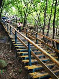 吉林市朱雀山國家森林公園。