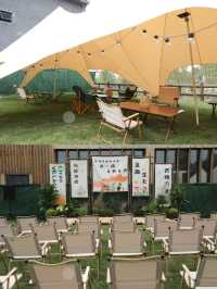 寵物天堂與人文棲所!青普民宿上海新店等你來撒野。