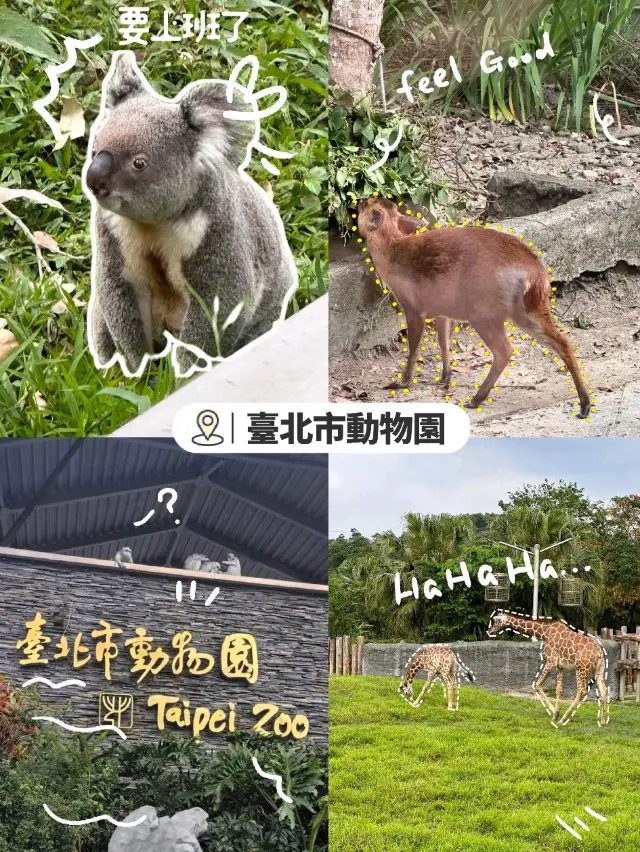 台北動物園