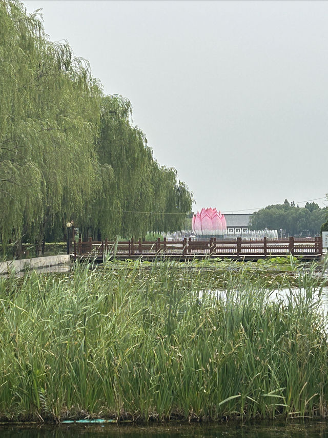 白洋淀風景區、冉莊地道戰遺址及紀念館旅遊攻略。