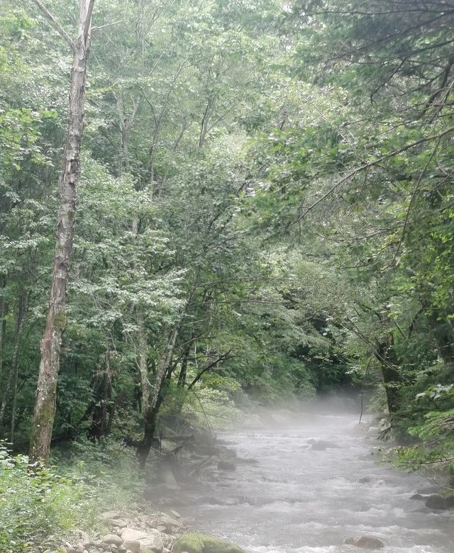 沒錯，就是喜歡鴛鴦峰，富養森林，一定要多做深呼吸！！。