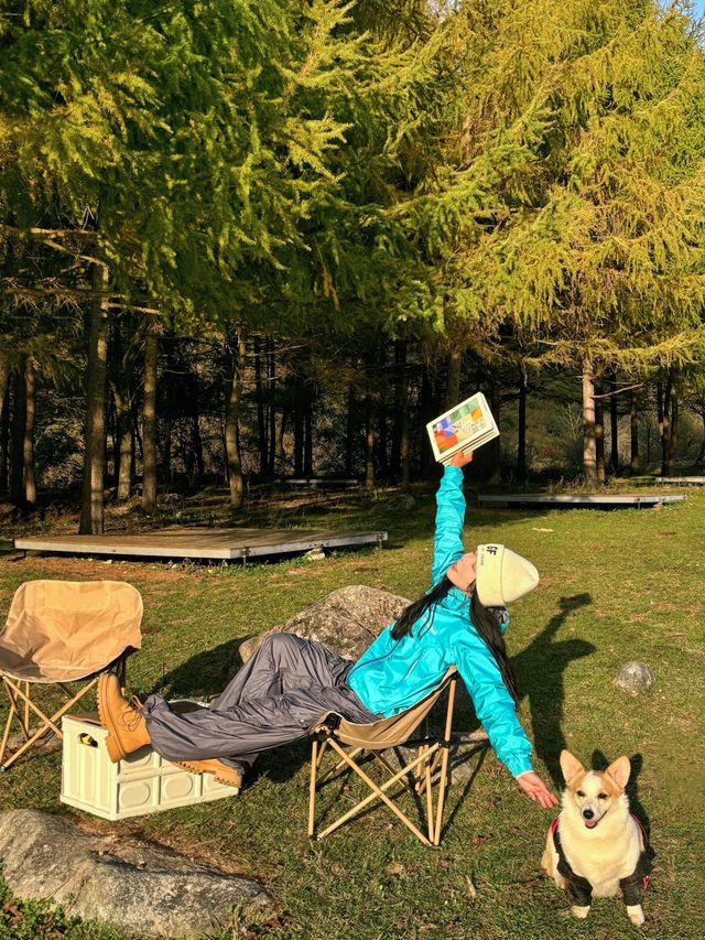 西安1.5小時可以封神的賞秋吸氧地！媲美川西！