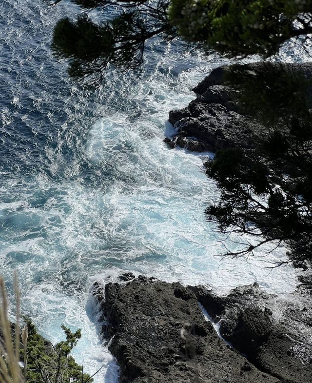 伊豆不止大室山！南伊豆的海美到失語…。
🌊在南伊豆被湛藍色大海治癒的一天！