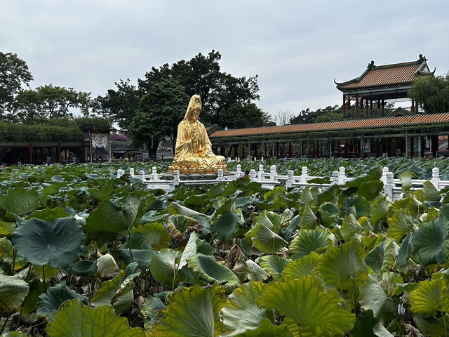 寶墨園。