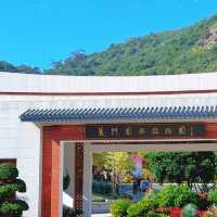 廈門植物園攻略！運動+吸氧+賞景~