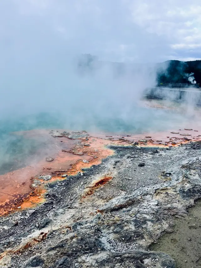 14-Day New Zealand Trip: A Detailed Guide to Avoid Pitfalls