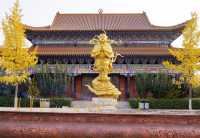 壯觀的佛教建築群，令人驚嘆。