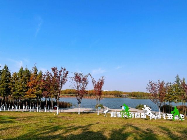 南昌魚尾洲濕地公園。