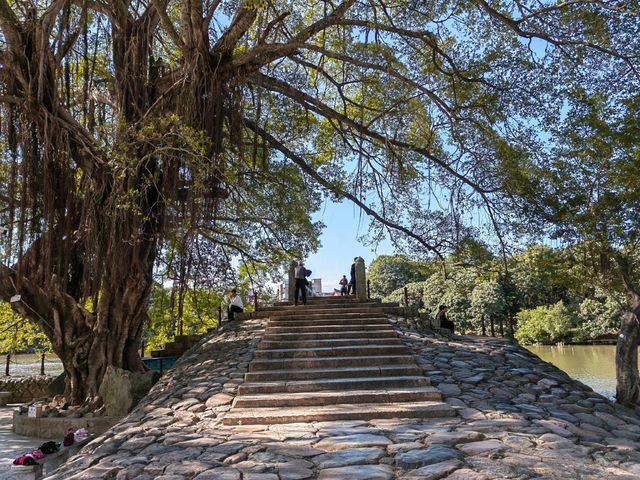 莆田綬溪公園 | 城市綠洲的詩意漫遊 。