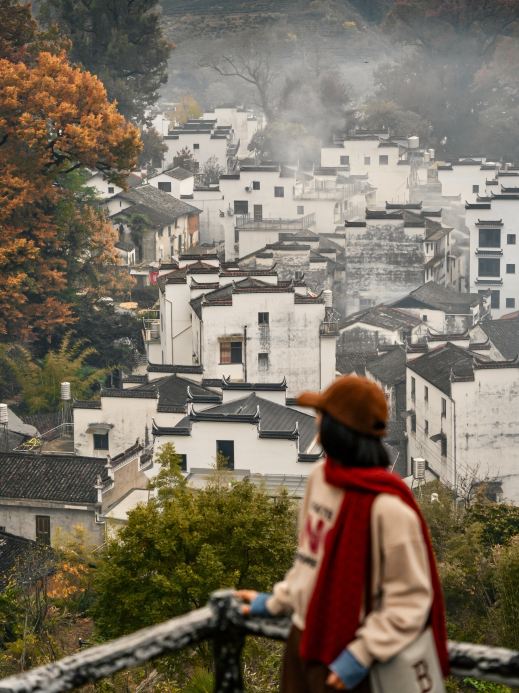 石城晨雾红枫 参考图 1