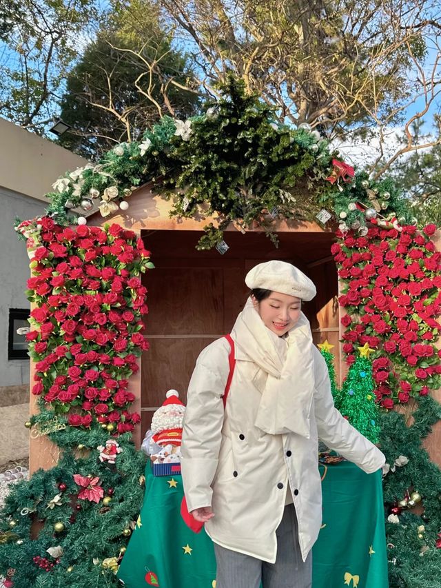 青島聖誕爵士市集,日落與海浪漫瘋了。。 青島聖誕爵士市集,日落與海浪漫瘋了。。