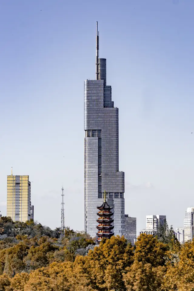 為了這張照片,我特地來了趟南京