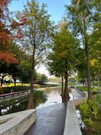 深圳桂灣公園｜人少巨舒服，宮崎駿漫畫公園花又開了！