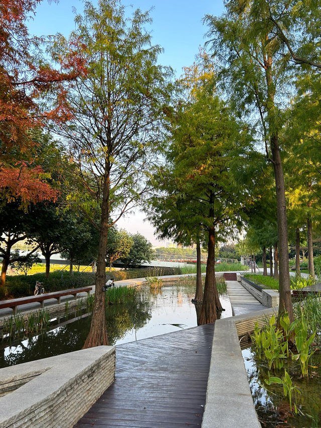 深圳桂灣公園｜人少巨舒服，宮崎駿漫畫公園花又開了！