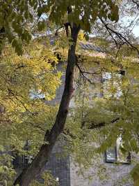 據說西安求姻緣最靈驗的地方就是湘子廟