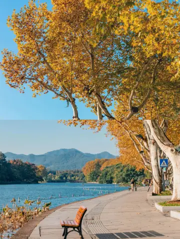 這兩天一定要早起，你會看到像海一樣的西湖