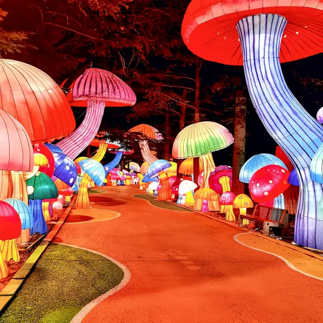 체크인/창춘 동식물공원