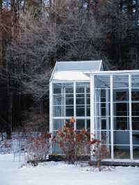 雪人節，這裡才是長春最值得來的地方！