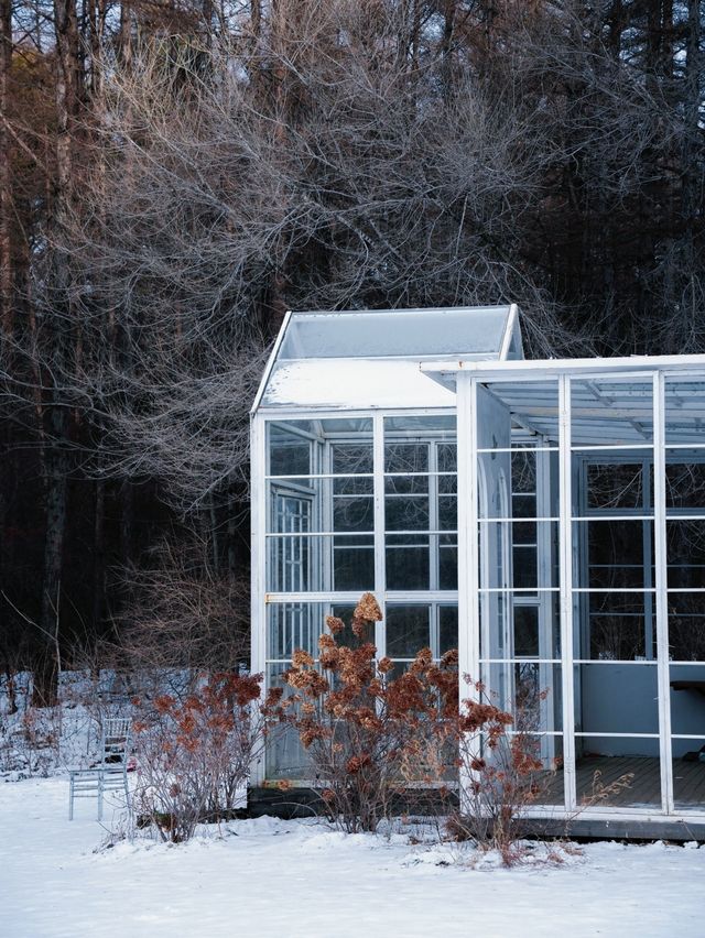 雪人節，這裡才是長春最值得來的地方！