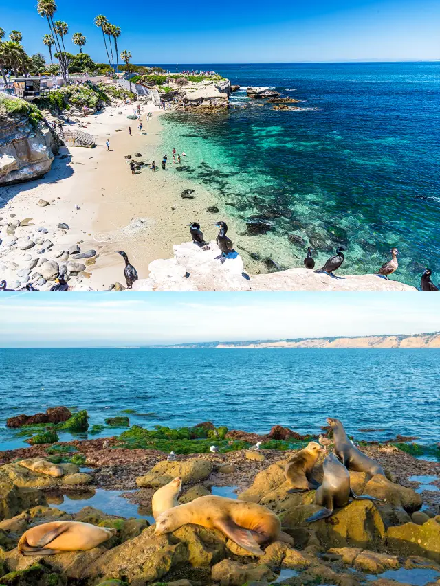 Two days in San Diego is enough to visit these attractions