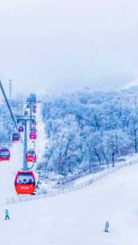 太舞滑雪小鎮的住宿選擇有哪些？