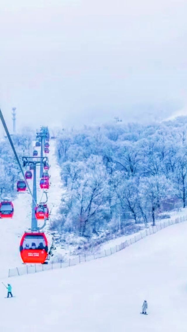 太舞滑雪小鎮的住宿選擇有哪些？