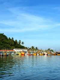 Magical Experience of Whale Watching in Mirissa