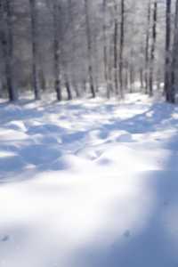 與其請假去新疆看雪，不如周末到河北