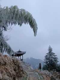 紫鹊界的青煙色